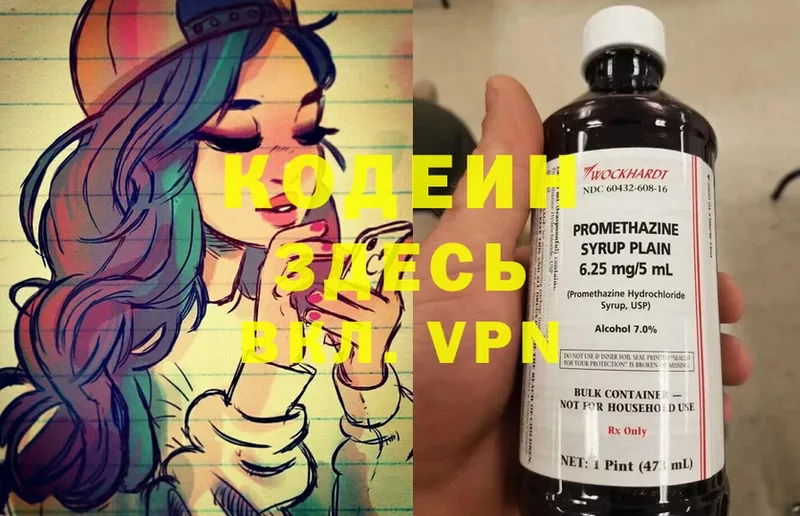 darknet наркотические препараты  Луга  Кодеиновый сироп Lean Purple Drank  закладки 